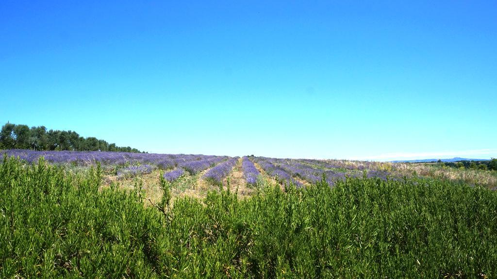 فندق توسكانيافي  Agriturismo San Giusto المظهر الخارجي الصورة